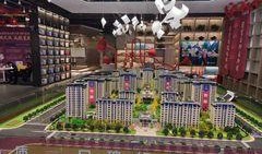 石家庄万和最新爆料,最新爆料抢先看